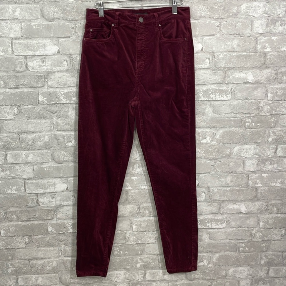 Ann Taylor Burgundy Skinny Velvet Pants